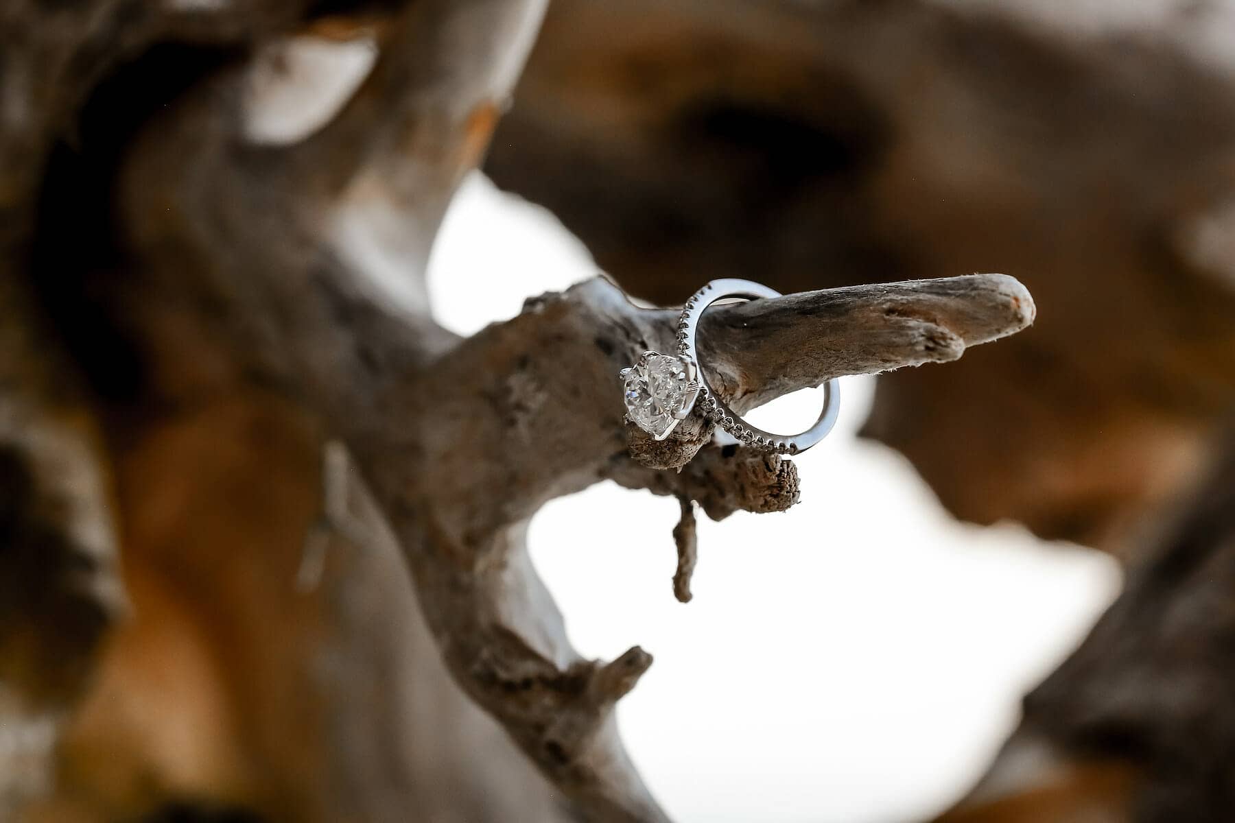 Marriage Proposal At Tulum Beach Shahryar Heer The Key Tulum