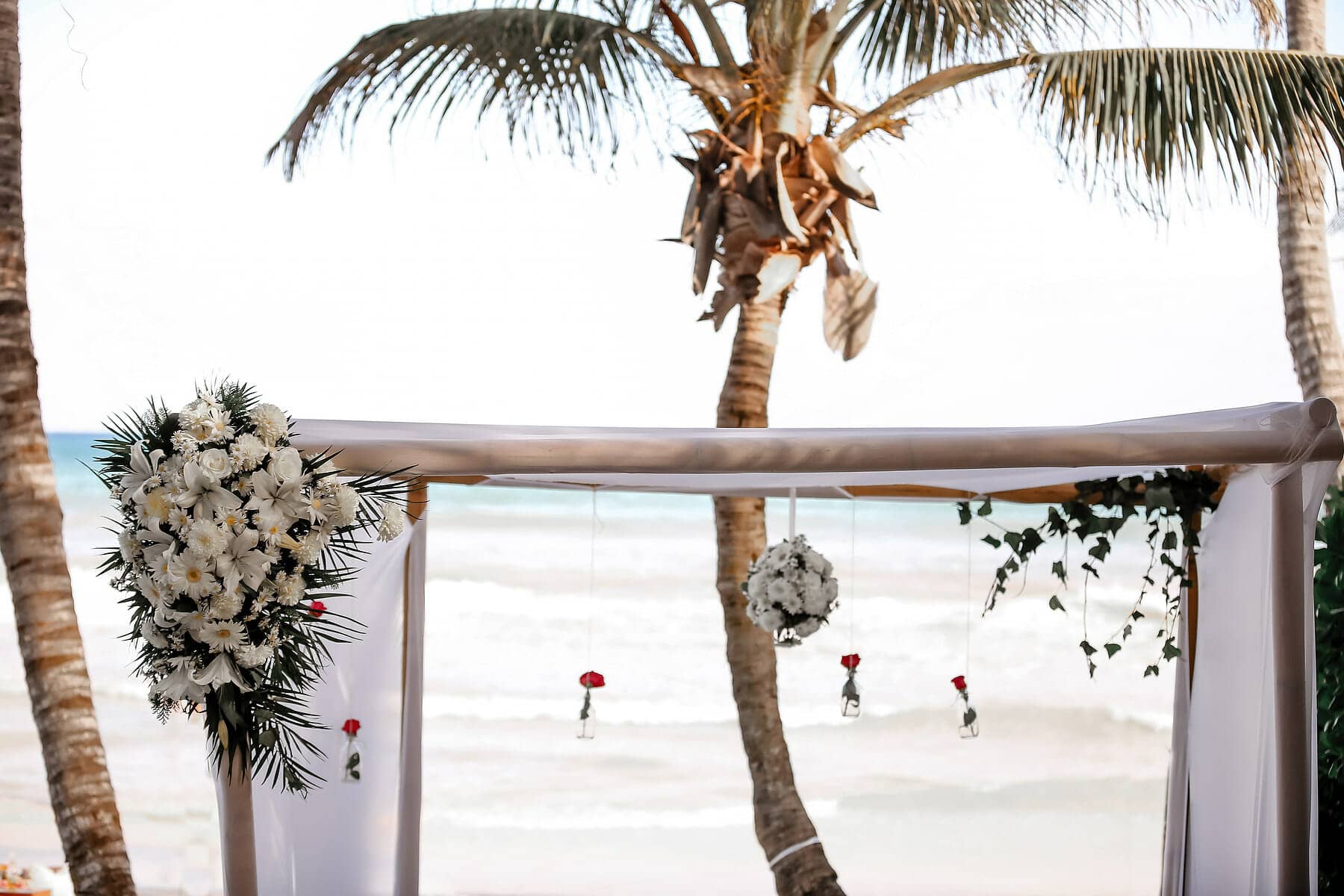 tulum proposal planner