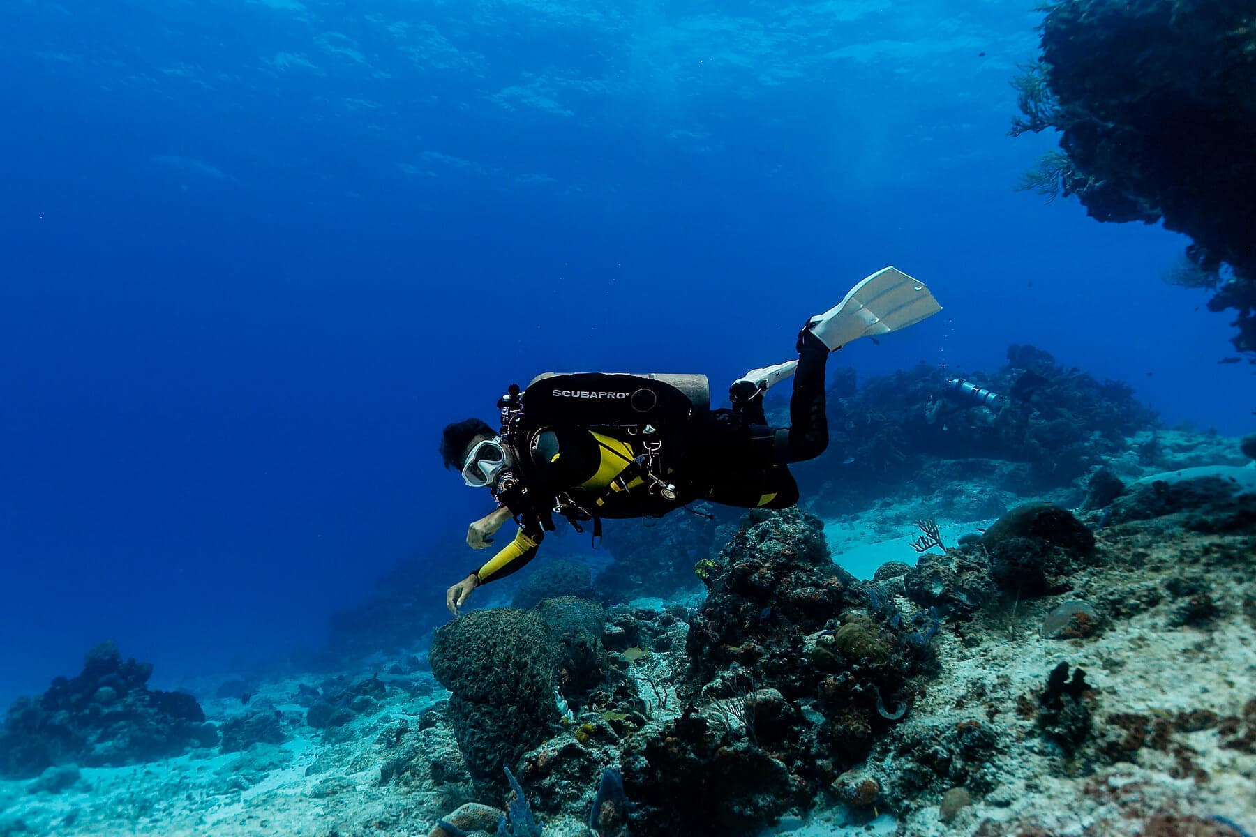 Open Sea Scuba Diving The Key Tulum Personal Concierge Service